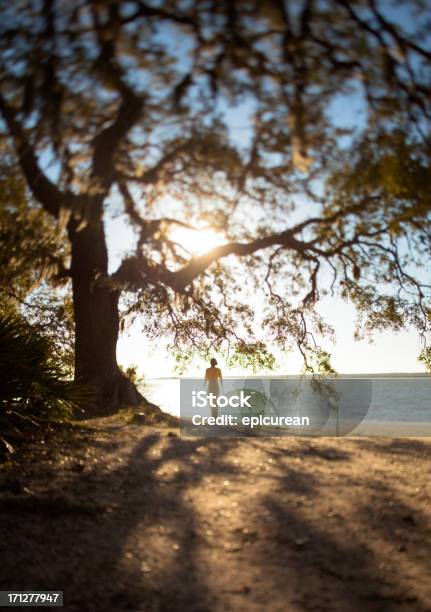 Foto de Contraluz Mulher Em Pé Na Praia e mais fotos de stock de Geórgia - Sul dos Estados Unidos - Geórgia - Sul dos Estados Unidos, Ilha Cumberland, 20 Anos