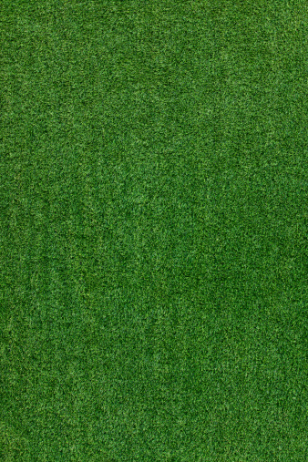 Fresh green grass in football pitch