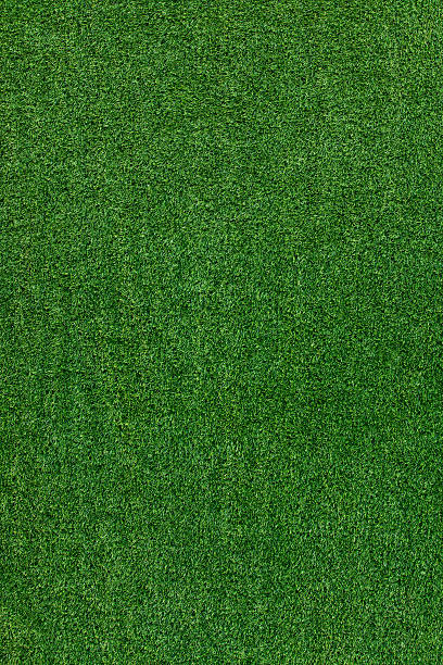 Green grass texture stock photo