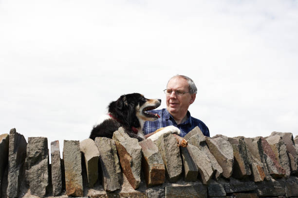 istock Mature man and dog behind stone wall 171278530