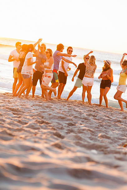 istock Group Of Young People At Beach Party 171278975