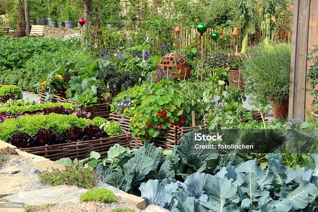 Kräuter und Gemüse - Lizenzfrei Hausgarten Stock-Foto