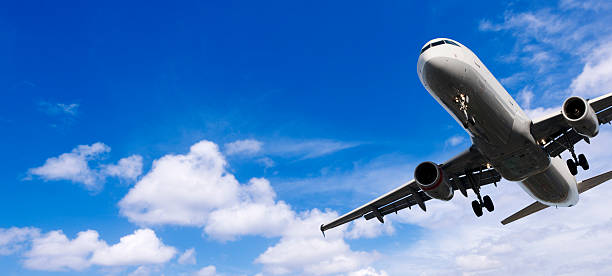 istock Airliner Landing over Palm Trees 171279203