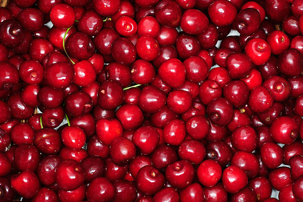 Lots of Cherries stock photo