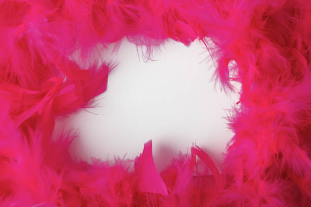 istock feather boa with space for dough, vintage bright style, 1712797255