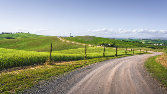 Danish landscape as it is recognized on Sydfyn - Southern part of the island Funen with rolling hills and fields. Small countryside road crossing barley fields