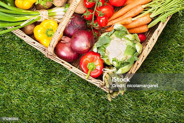 Fresco Giardino Produrre In Un Cestino - Fotografie stock e altre immagini di Abbondanza - Abbondanza, Agricoltura, Alimentazione sana