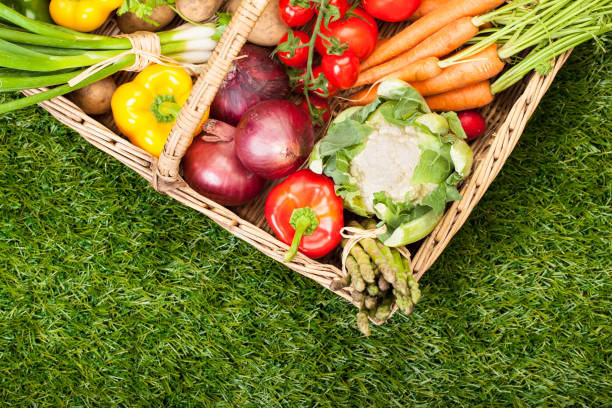 Fresh Garden Produce: in a basket