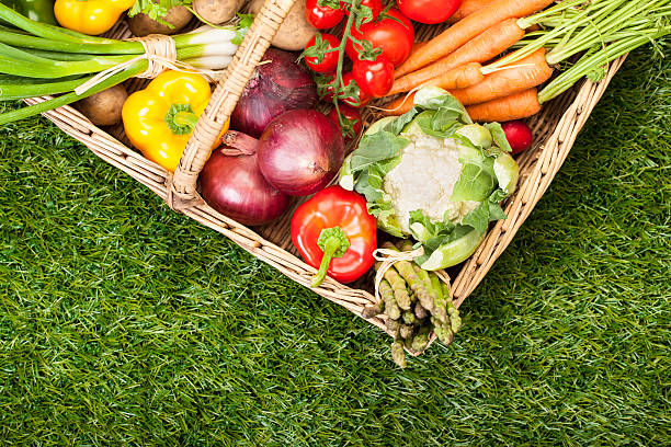produtos frescos jardim: em uma cesta - asparagus vegetable market basket - fotografias e filmes do acervo