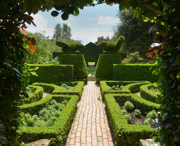 Formal English Garden "Hidcote, UK - June, 17th 2012:An old english style garden with box hedges and topiary clipped bushes into shapes at Hidecote in Gloucestershire, England" knot garden stock pictures, royalty-free photos & images