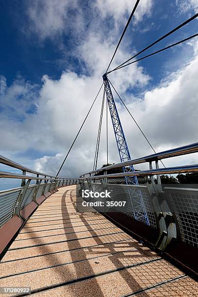 Ponte Coperto Vista Panoramica - Fotografie stock e altre immagini di Acqua - Acqua, Albero, Albero tropicale
