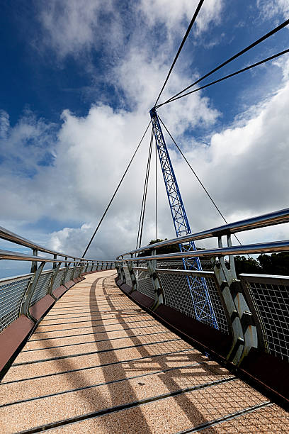 최고의 편의 시설은 과거와 현재를 완벽하게 아우르고 금연 - tropical rainforest elevated walkway pulau langkawi malaysia 뉴스 사진 이미지