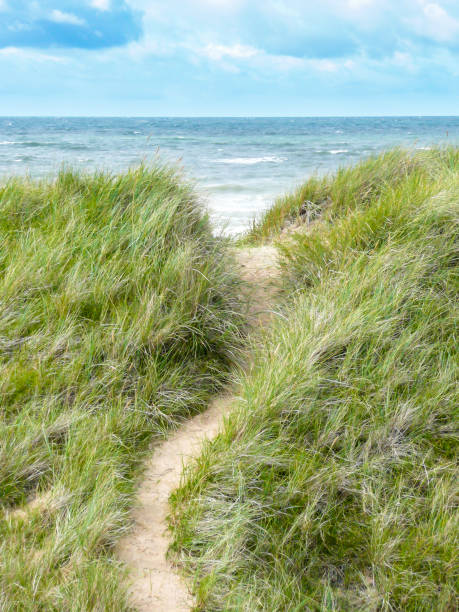 istock Coast of Halland, Sweden 171281055