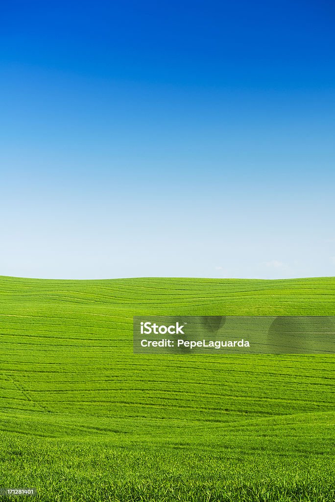 Beautiful Tuscany fields Beautiful Tuscany fields. Italy. Agricultural Field Stock Photo