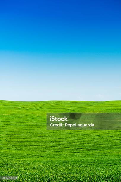 Beautiful Tuscany Fields Stock Photo - Download Image Now - Agricultural Field, Agriculture, Awe