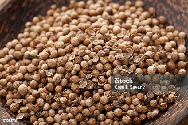 Coriander Seed Stock Photo - Download Image Now - Coriander Seed, Spice, Bowl