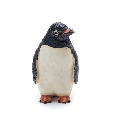 Penguin on  white 