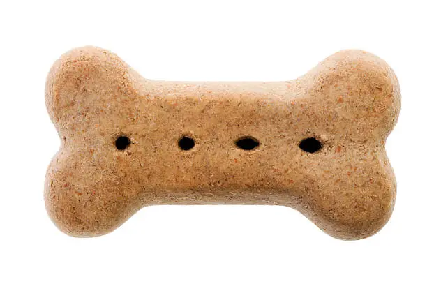 Dog Biscuit against a white background