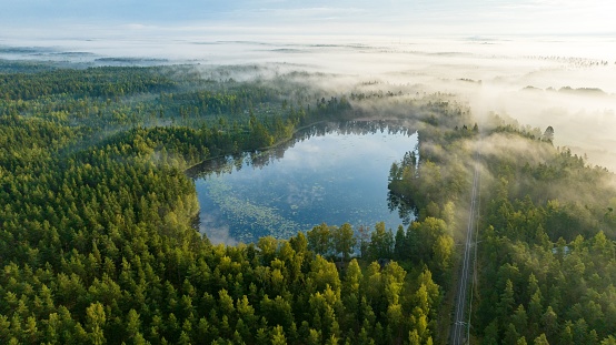 Aerial view of a misty pond on a foggy morning on the countryside of Scandinavia