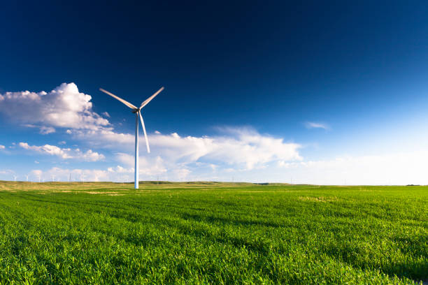 Wind Turbine A wind turbine standing in a field.  Many more turbines can be seen in the distance. wind power photos stock pictures, royalty-free photos & images