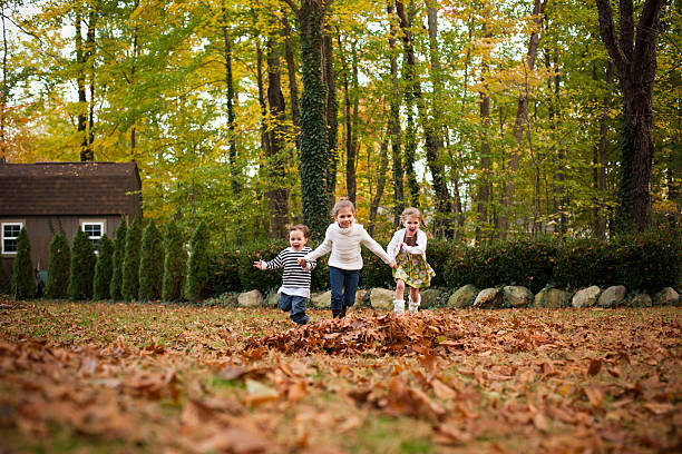 no mesmo nível juntos no outono folhas - preschooler autumn beautiful blond hair imagens e fotografias de stock