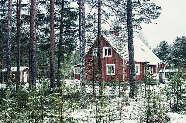 istock Typical wooden house In Sweden during winter 171283897