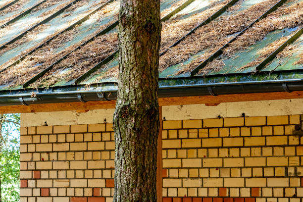 istock Pine needles on a green metal roof 1712840504