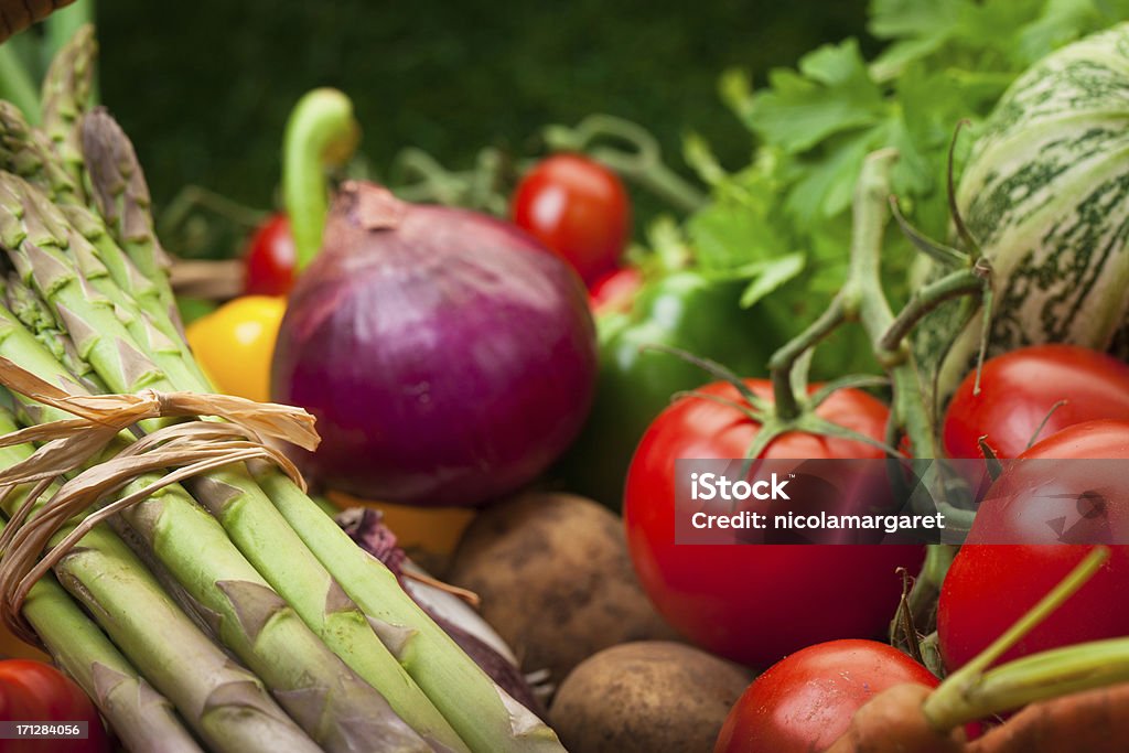 VERDURE FRESCHE - Foto stock royalty-free di Orto