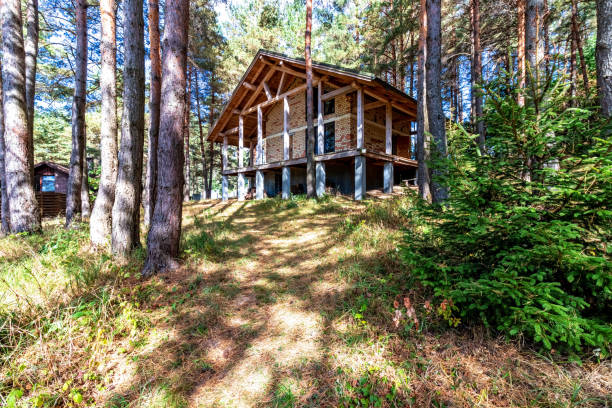 istock A house under construction in a pine forest on a sunny autumn day 1712841655
