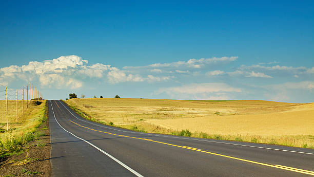 istock Country Road and Thunderstorm 171285345