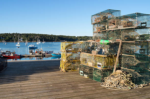 istock Lobster fishing industry 171285583