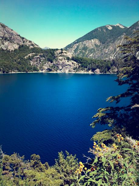 san carlos de bariloche - mobilestock argentina bariloche nature fotografías e imágenes de stock