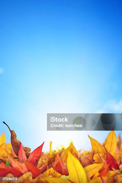 Autumn Leaves Lying On The Ground Stock Photo - Download Image Now - Autumn, Border - Frame, Beauty