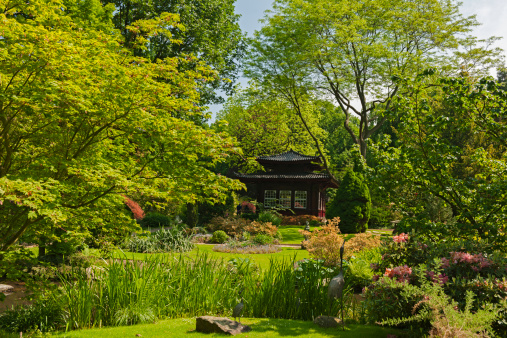 Part of a public japanese garden..