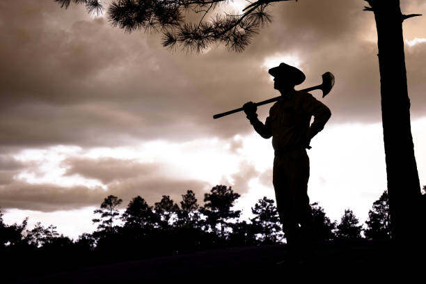 istock Rancher Farmer overlooking field after a rain storm at sunset 171287551