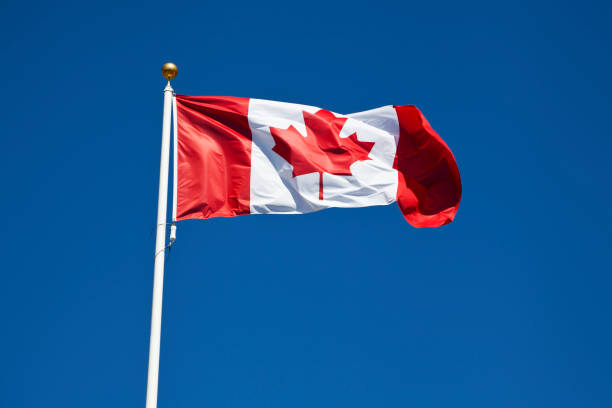 Canadian Flag in the Wind