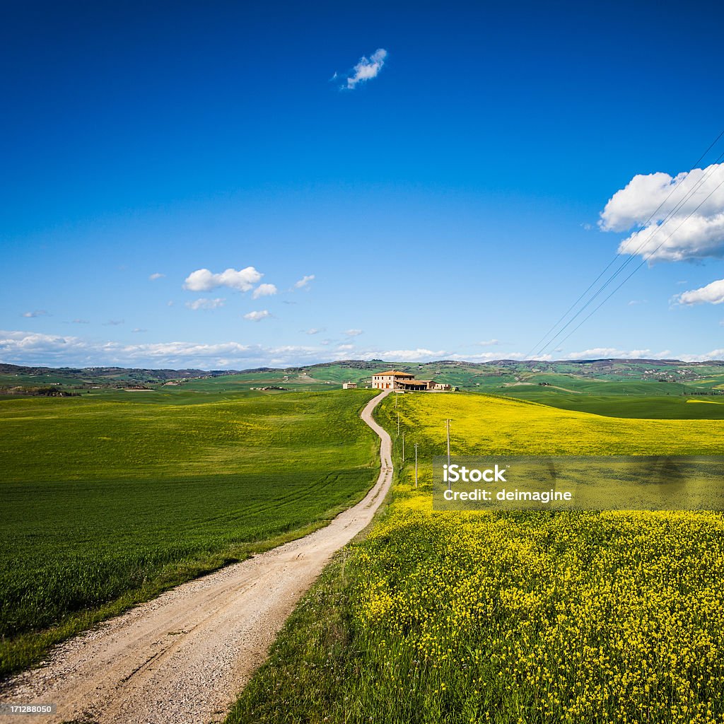 Farm, Strada di campagna attraverso i campi - Foto stock royalty-free di Agricoltura