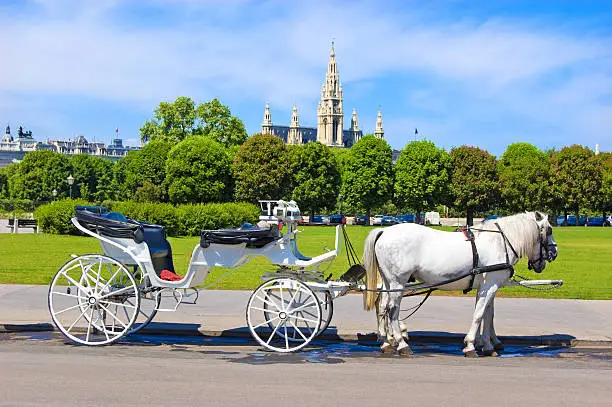"Horse-driven carriage at Hofburg palace, Vienna, Austria. Visible are many trees in the park of Vienna, one empty fiaker or horse-driven car, two white horses and the Town Hall of Vienna in the background.See more images like this in:"