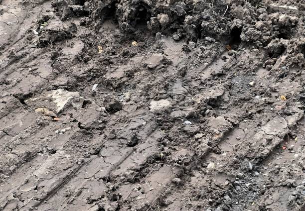 istock a road in the mud. 1712884288