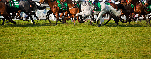 a corrida é - british racing green - fotografias e filmes do acervo