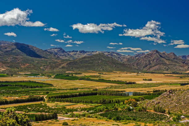 istock Fertile plantations in Olifants River valley 1712888735