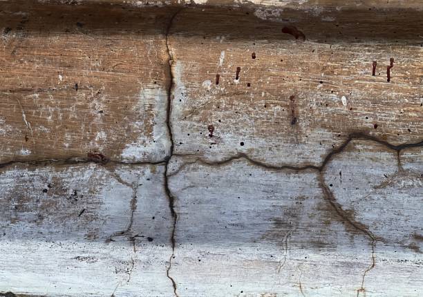 istock the texture of the wood. 1712891929