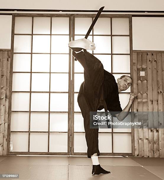 Ninja Stock Photo - Download Image Now - Aikido, Asia, Authority