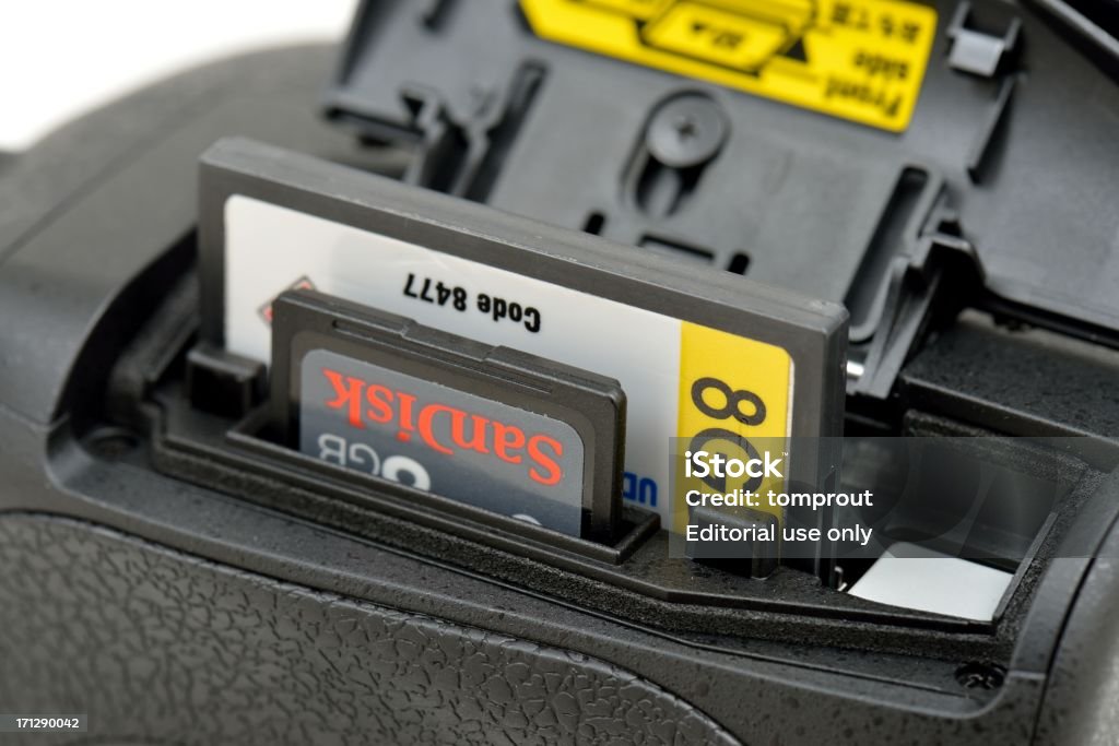 Câmera Nikon D800 Slots de cartão de memória - Foto de stock de Branco royalty-free