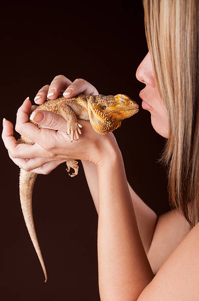 istock Young Woman Kissing Bearded Dragon Lizard 171290508