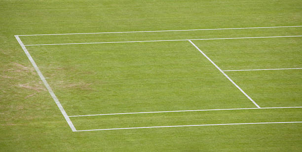 istock Grass tennis court with white lined markings 171290754