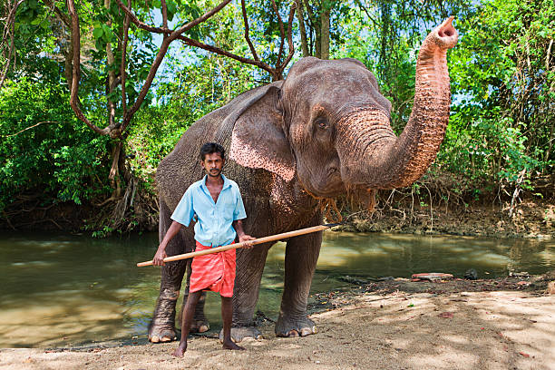 istock Mahout bathing his elephant in the river 171291145