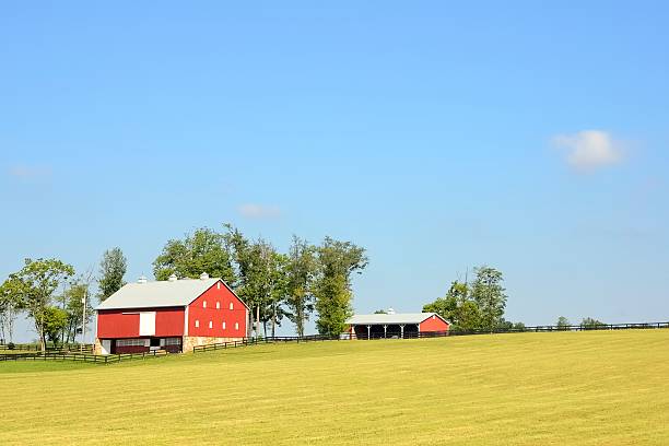 istock Sugarloaf Mountain Dairy Farm 171291537