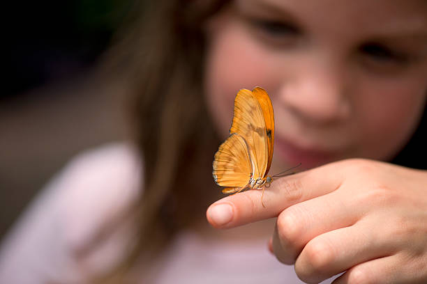 Girl looks at orange butterfly on finger stock photo