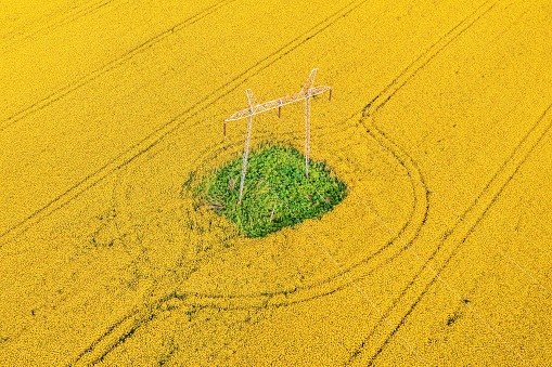 Electricity pylon in blooming canola field, aerial shot from drone pov high angle view